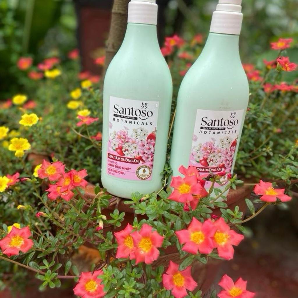 Sữa tắm dưỡng ẩm Santoso hương anh đào nhật chai 500ml.