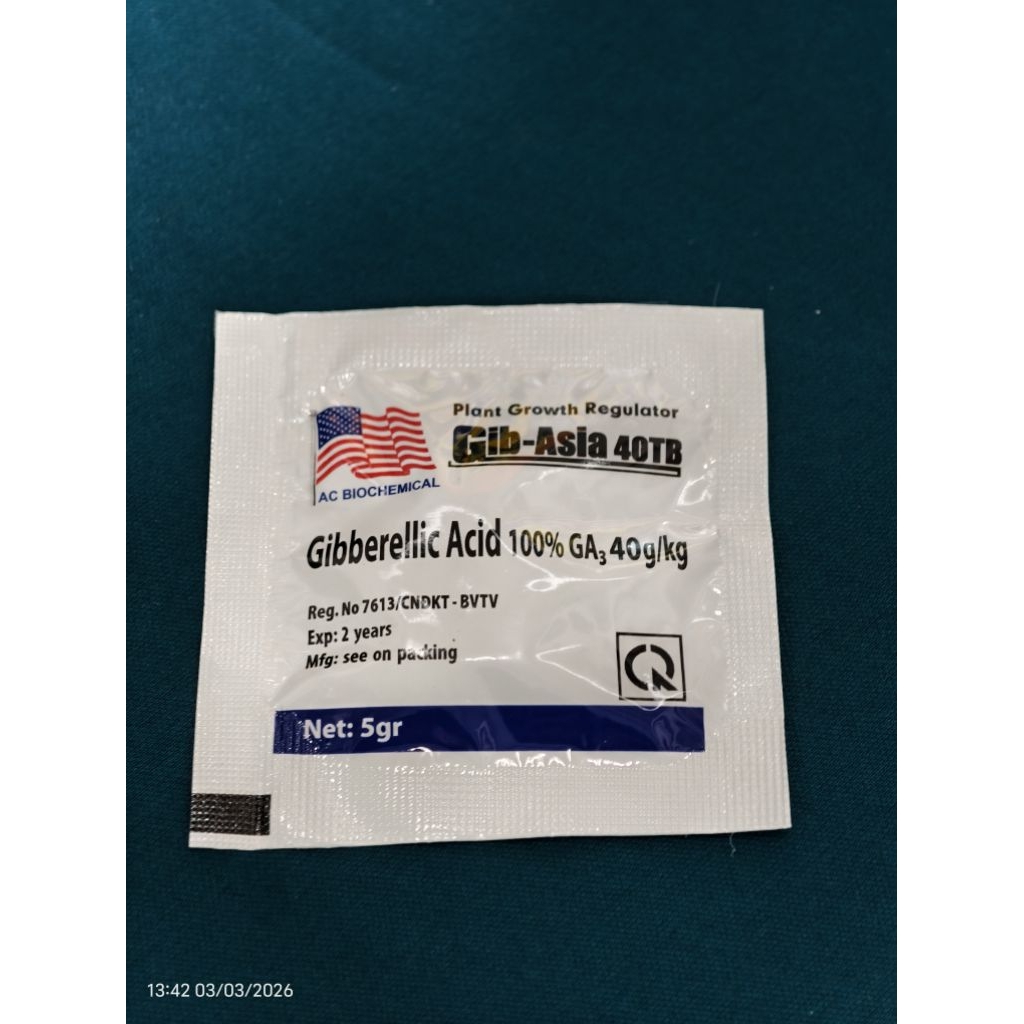 Combo 10 viên - 50 viên Ga3 Sủi 5gr