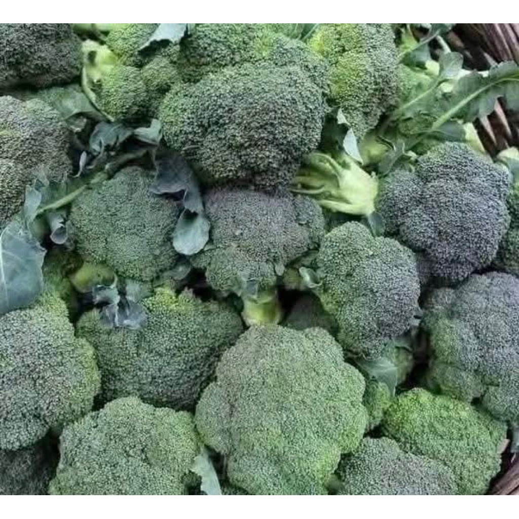 SÚP LƠ (BÔNG CẢI XANH) 💥💥💥 (1Kg)