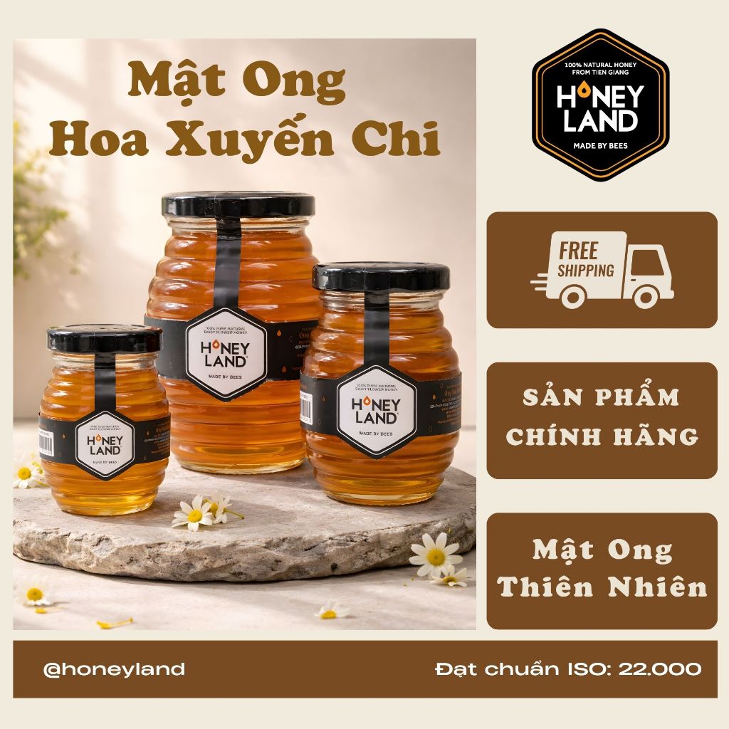 Mật Ong Rừng Hoa Xuyến Chi Honeyland 110/250/500g - Mật Ong Thiên Nhiên, Màu Vàng Sáng