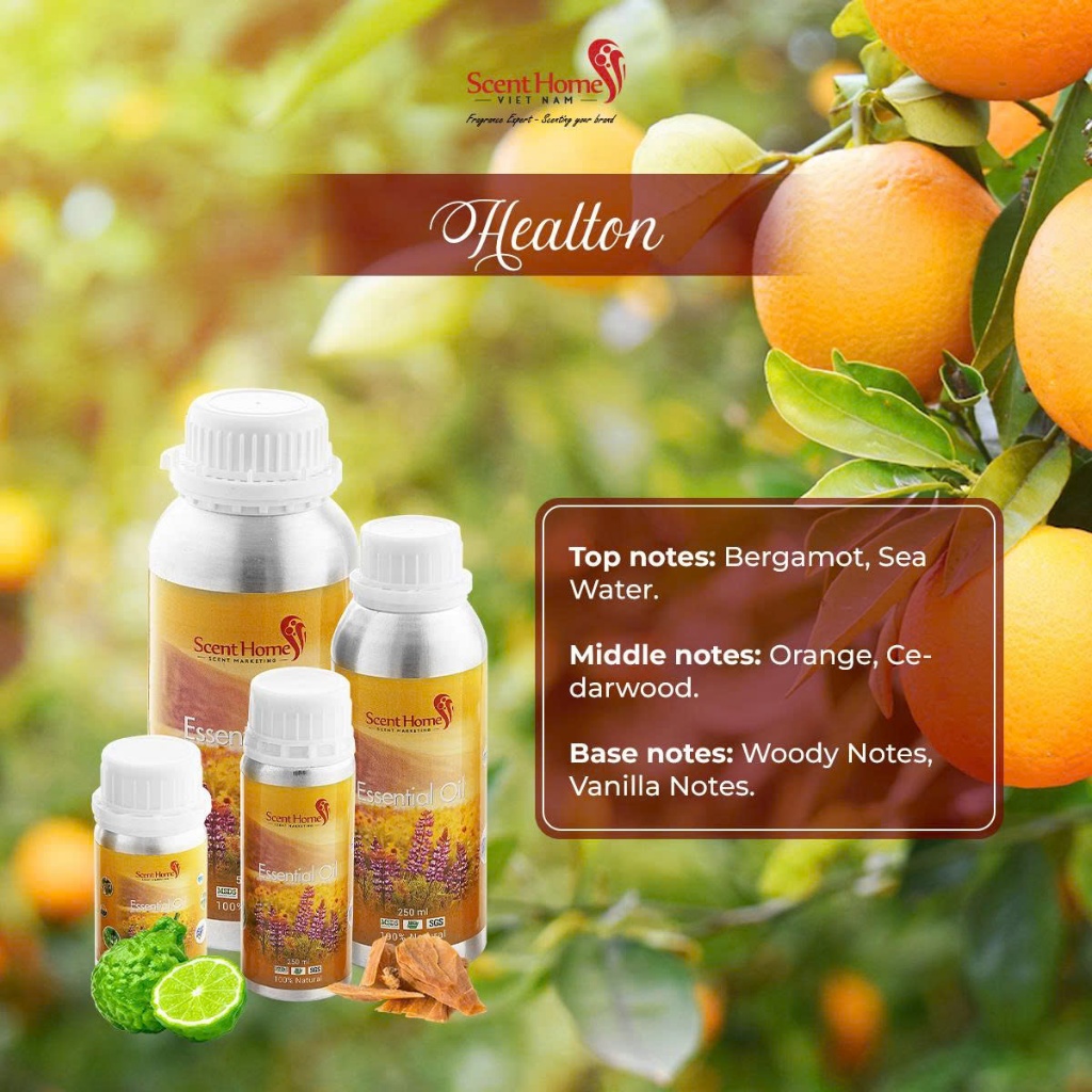 [Chính hãng] Tinh dầu Healton - ScentHomes (Healton - 50ml,100ml,250ml)
