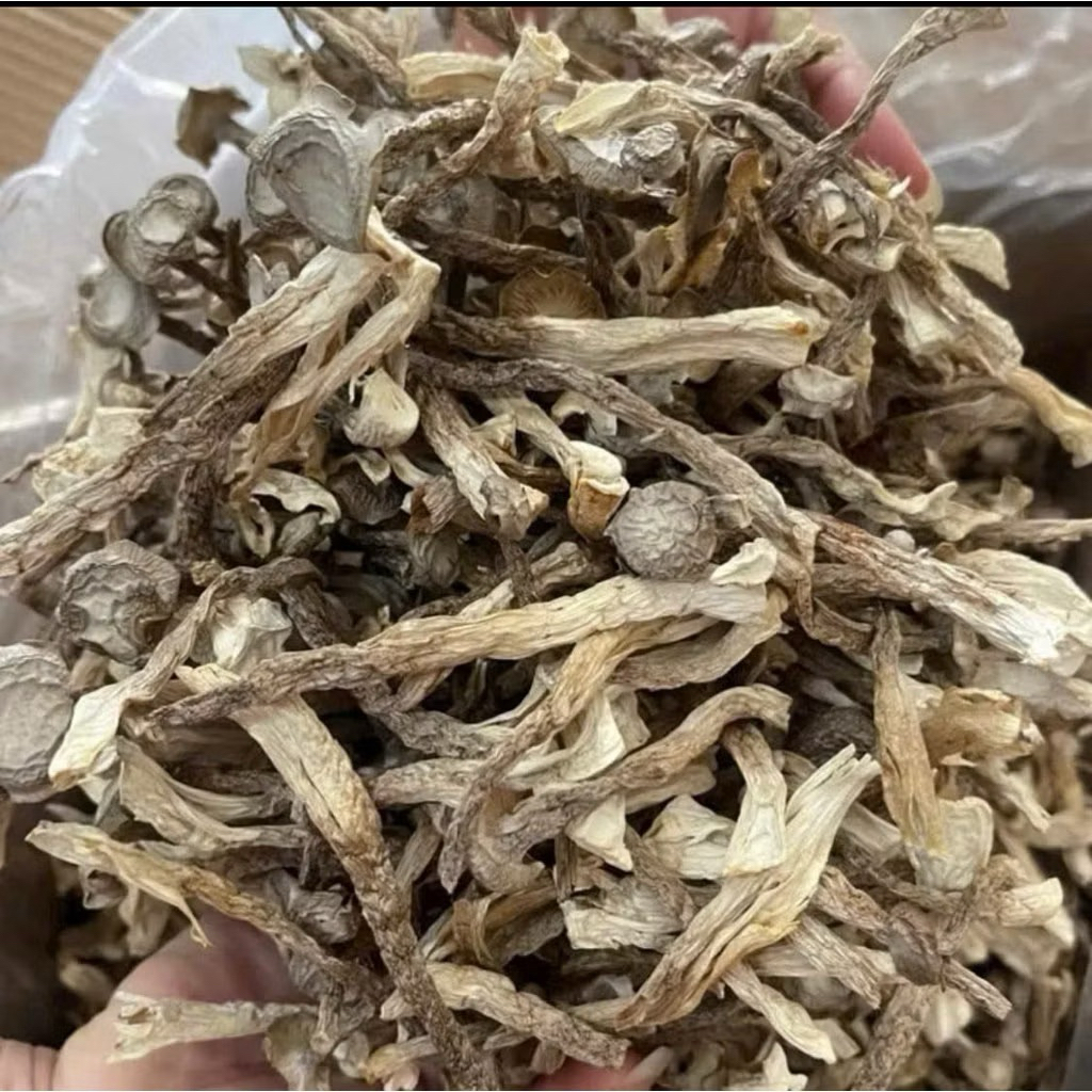 Nấm Lộc Nhung Nguyên Cây Hàng Loại Ngon