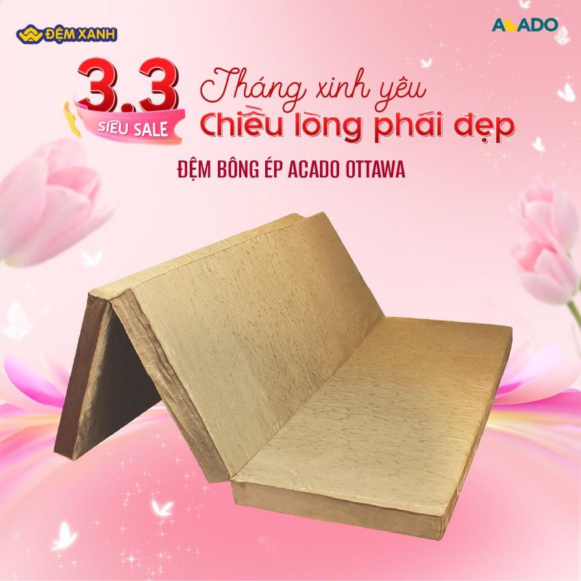 Đệm bông ép Canada Acado Ottawa gập 3 - SP mới tháng 7