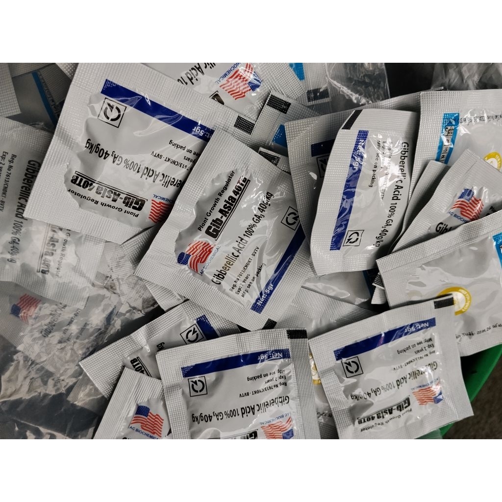 Viên sủi GA3 Mỹ (Gibberellic Acid) kích thích sinh trưởng toàn diện.
