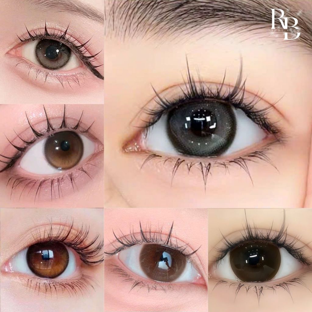 [LENS 1 NGÀY] Tổng Hợp Các Mẫu Lens Hàn Quốc 1 Ngày Full Màu 0-5 Độ + Tặng Khay Dụng Cụ BST BEARLENS