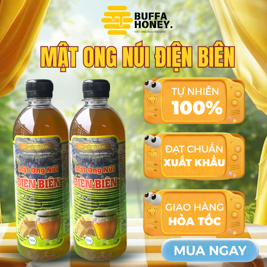 Mật Ong Núi Điện Biên Nguyên Chất 100% Tự Nhiên Đặc Sánh Mật Thơm Ngọt Không Pha Tạp 1000ml