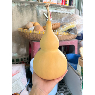 🌸🌸 BẦU HỒ LÔ PHONG THỦY 🍀🍀