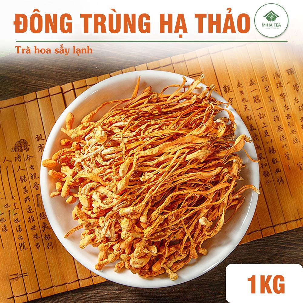 Đông trùng hạ thảo sấy khô 1kg, sợi đông trùng vàng, thơm, pha trà, nấu món chay, hầm, canh