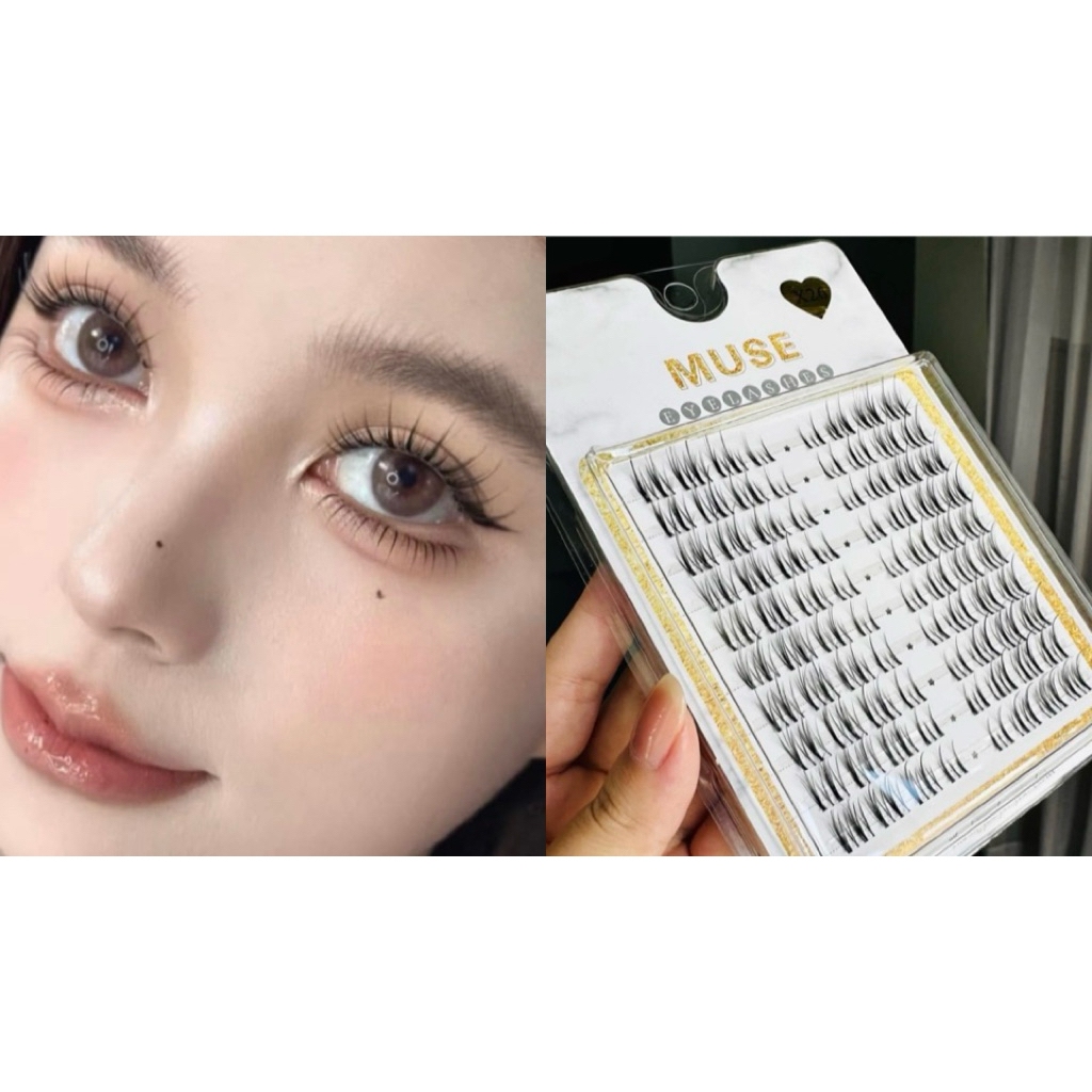 Mi Muse X26 mi trên mi cao cấp trang điểm chuyên nghiệp thiết kế đẹp