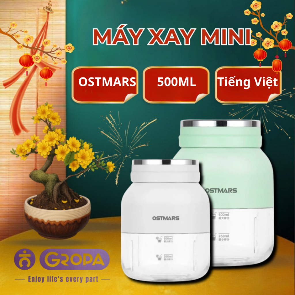 Máy xay sinh tố cầm tay , máy xay hoa quả cầm tay OSTMARS dung tích 500ml hàng chính hãng