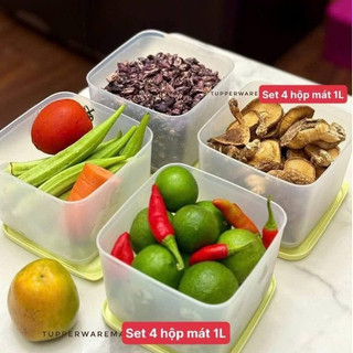 HỘP VUÔNG 1L BQTP MÁT/KHÔ nhập khẩu chính hãng