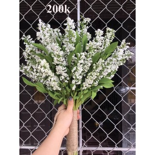 Hoa bi, hoa xốp siêu đẹp