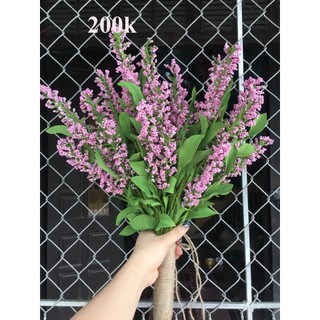 Hoa bi, hoa xốp siêu đẹp