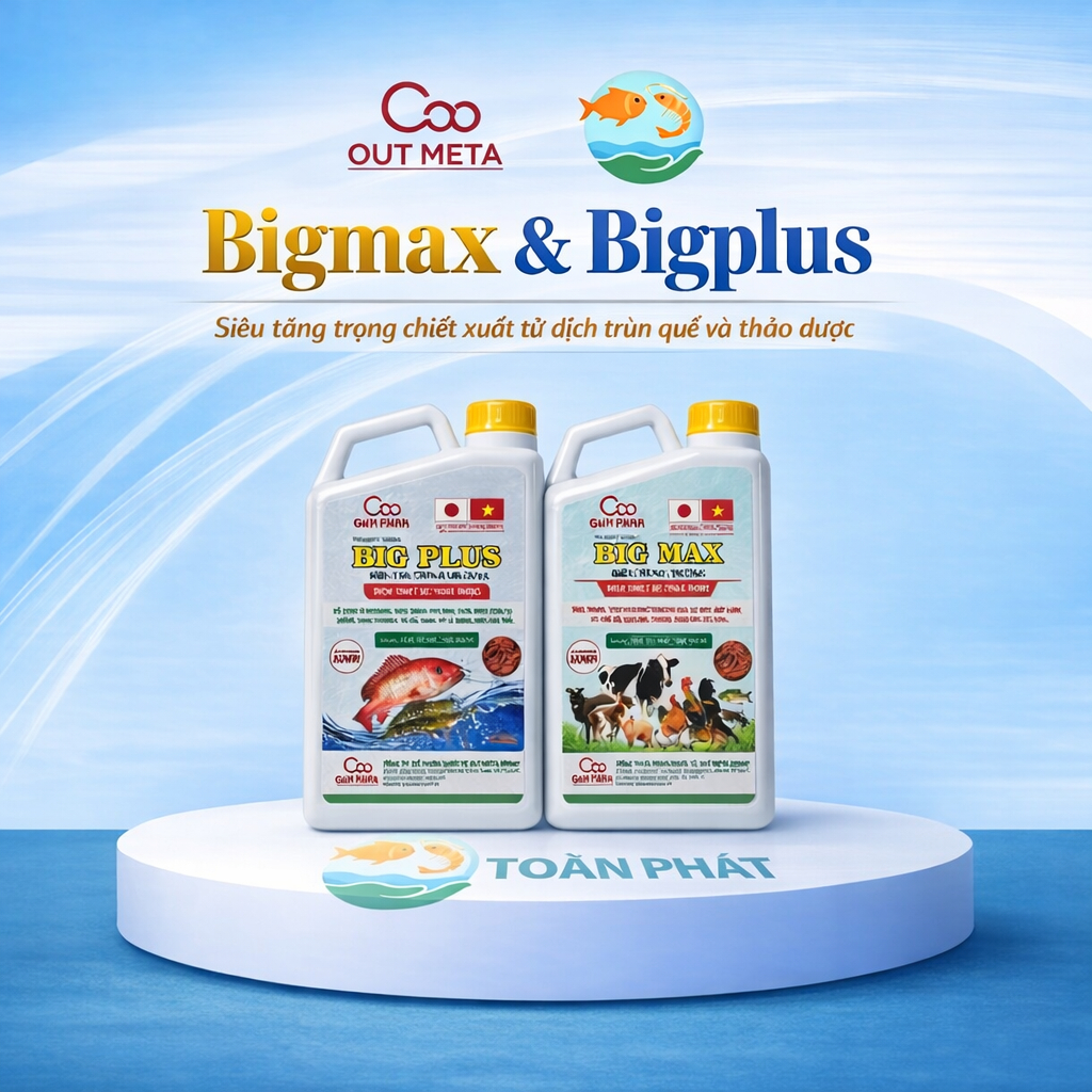 Bigmax và BigPlus - Siêu tăng trong chiết xuất từ dịch trùn quế thảo dược dùng cho gia súc gia cầm v