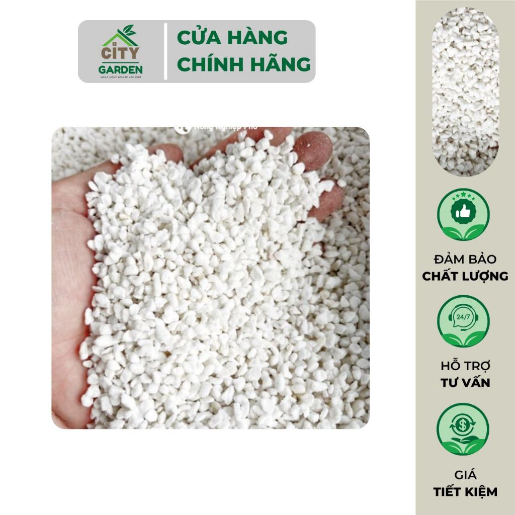 Đá Perlite ( Đá Trân Châu ) Trồng Cây