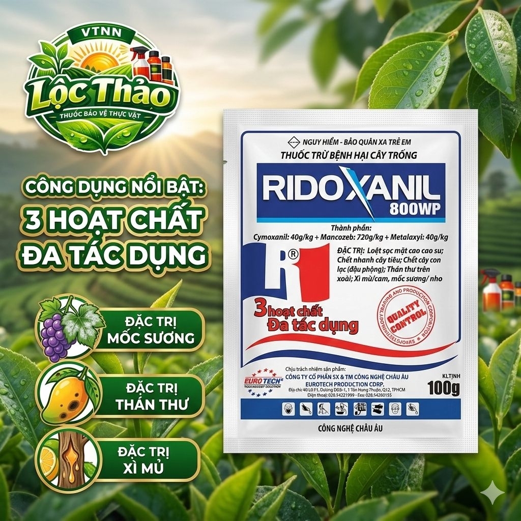 RIDOXANIL 800WP - SỨC MẠNH 3 HOẠT CHẤT, ĐA TÁC DỤNG Ngừa Sương Mai,Thán Thư