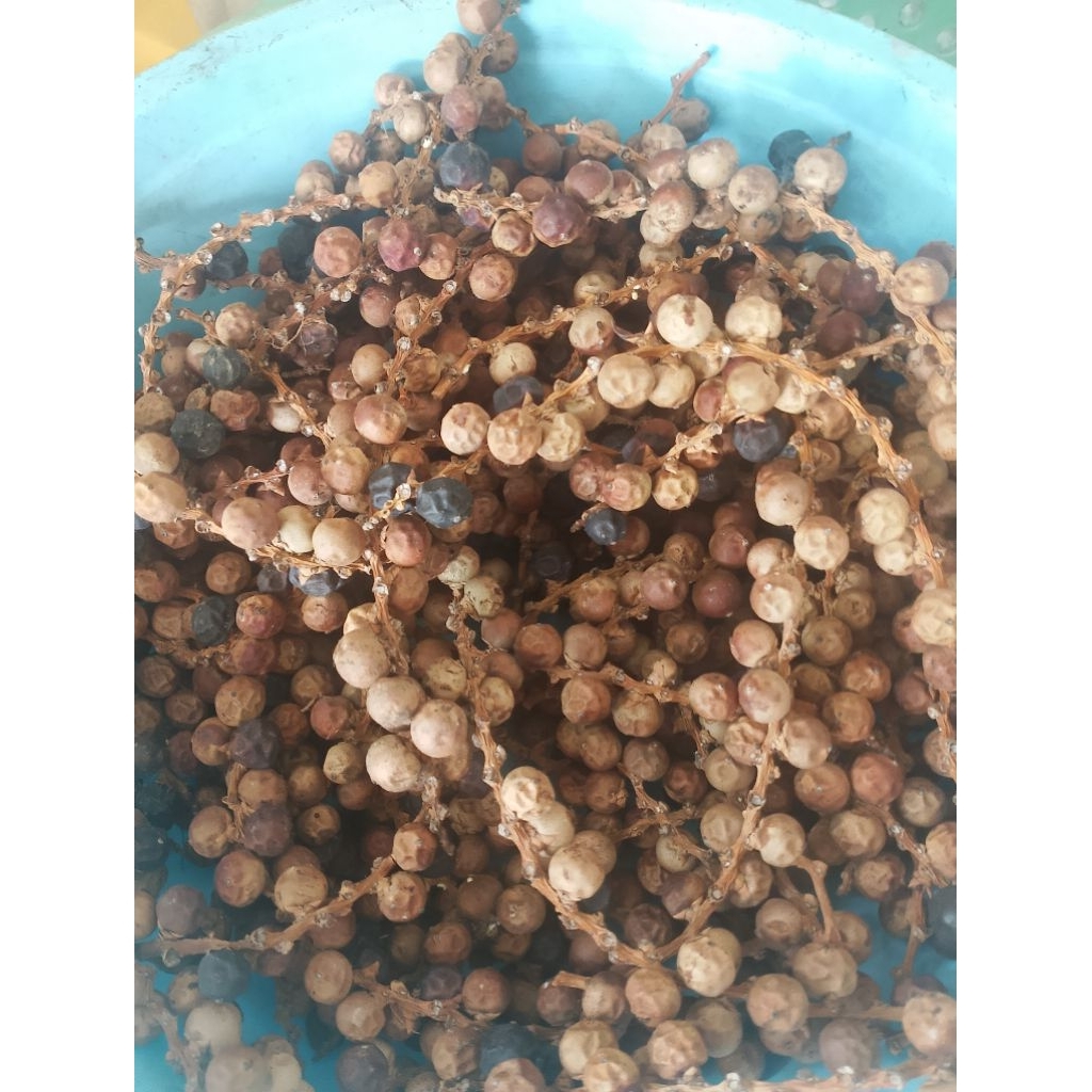 Trái đủng đỉnh khô 1kg