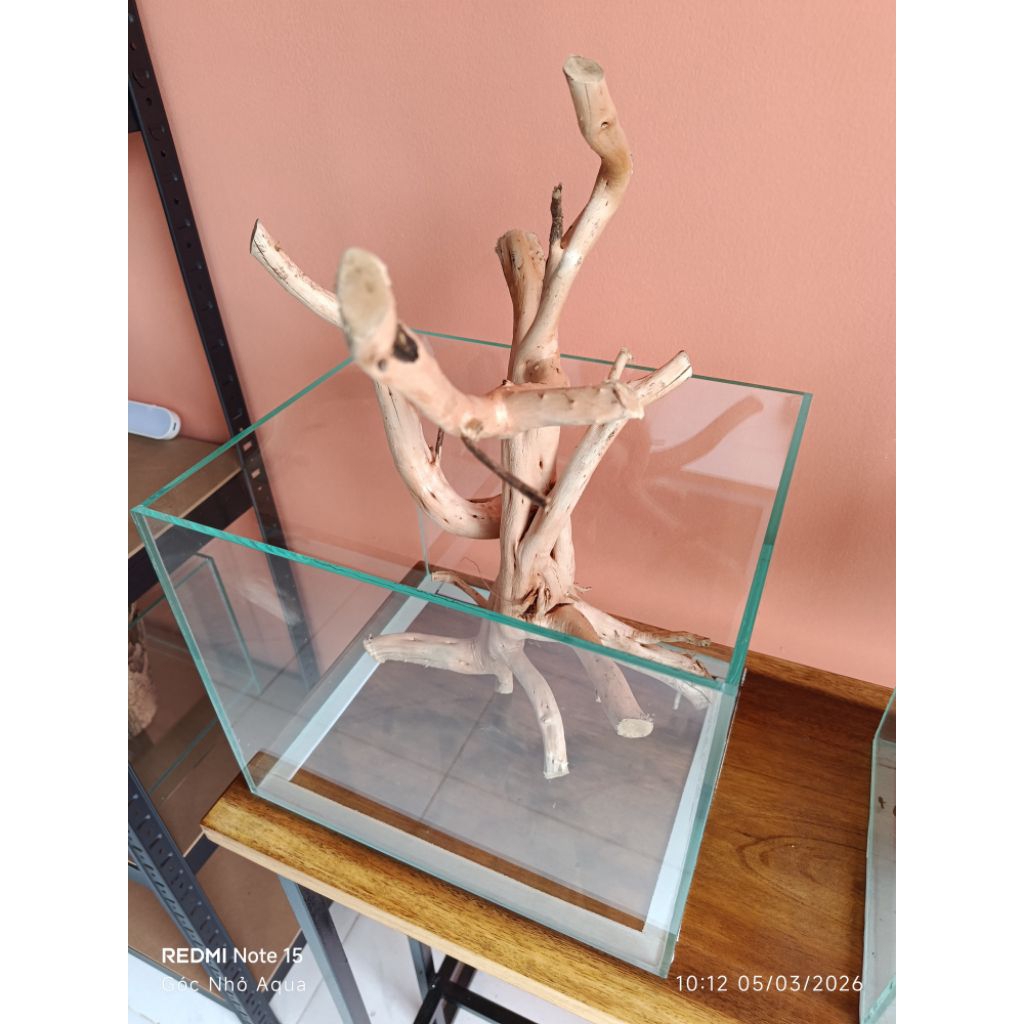 Hồ cá 30x25x25 cm