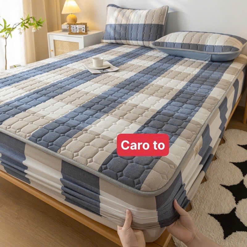 Chăn Ga Gối Drap Giường Cotton 3 Món – Combo Ga Bo Chun Co Giãn Đủ Size M2 M4 M5 M6 M8 2M2