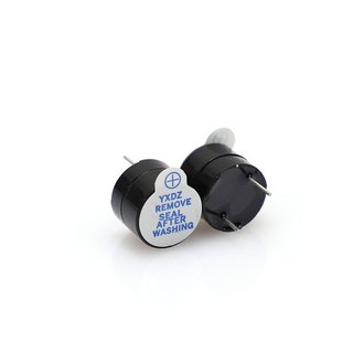 Còi Chíp 5V - Loại 9,5x12mm