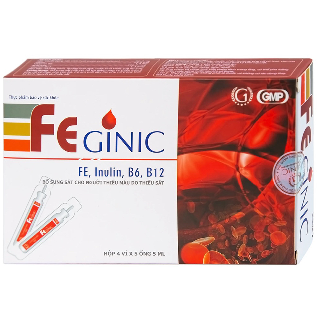 Sắt ống FE GINIC(hộp 20ống)