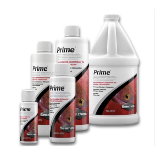 Chính Hãng Xử Lý Nước Seachem Prime | Dung Dịch Khử Nước Mới, Khử Clo, Ổn Định Nước Cho Bể Cá🐠 Seach