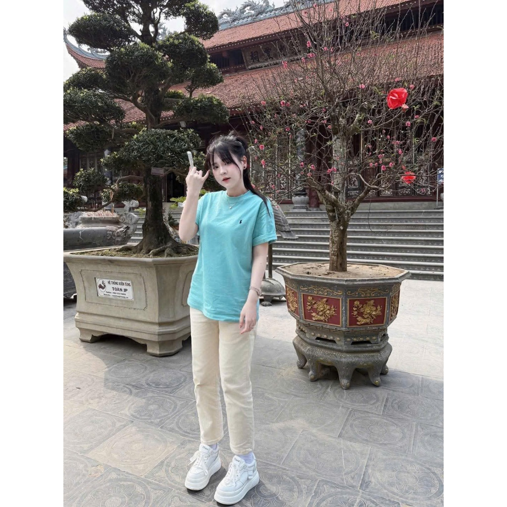 ÁO PHÔNG TRƠN XANH MINT CỘC TAY THÊU NGỰA cotton 4c cổ tròn FORM RỘNG | BigBuy360 - bigbuy360.vn