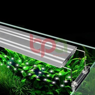 ĐÈN LED AQUA BLUE CẢM ỨNG - ÁNH SÁNG TRẮNG CHUYÊN TRỒNG CÂY THỦY SINH