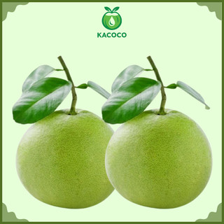 Cặp 2 Trái Bưởi da xanh miền tây nguyên vỏ KACOCO - Mỏng vỏ, ngọt nhiều giàu vitamin C (không cuốn)