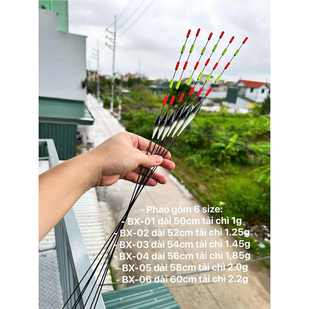 Phao hố đấu thanh long- mèo trắng