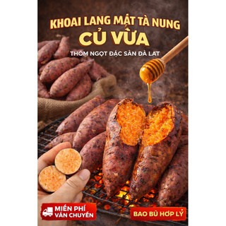 khoai lang mật Tà Nung combo 1kg, 2kg size vừa