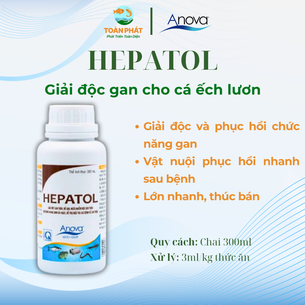 Anova Hepatol - Giải độc gan ho cá lươn ếch, chai 300ml