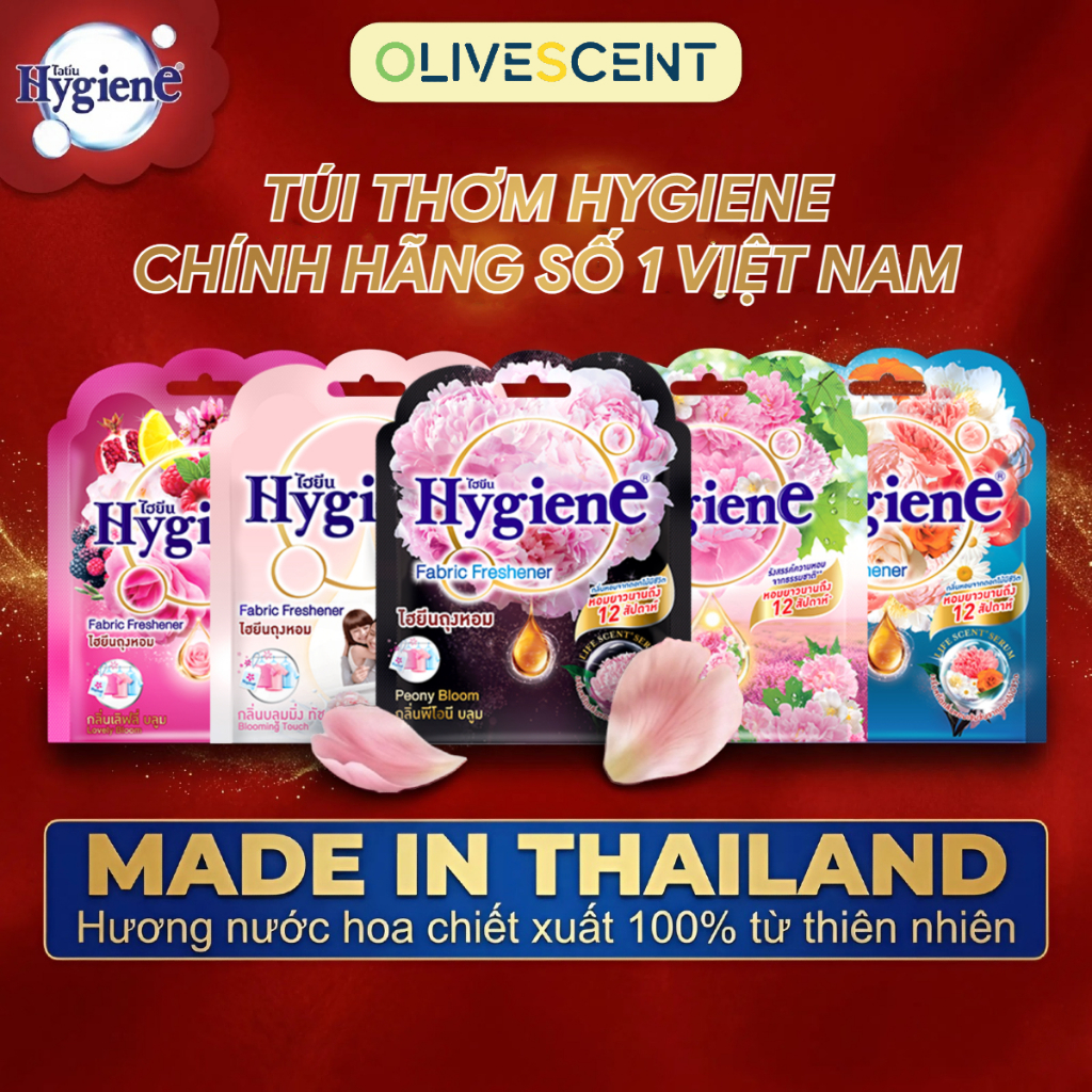 Túi Thơm Để Tủ Quần Áo Hygiene Thái Lan Hương Hoa Thơm Phòng Treo Xe Phòng Ngủ Loại Bỏ Ẩm Mốc