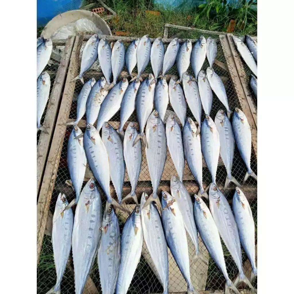 1kg Khô cá bè bè (họ cá thu)
