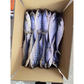 1kg Khô cá bè bè (họ cá thu)