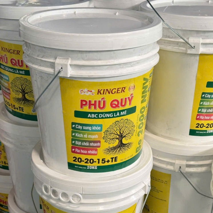 PHÚ QUÝ 20-20-15 + TE (ABC35)