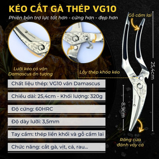 Kéo cắt gà DandiHome cao cấp