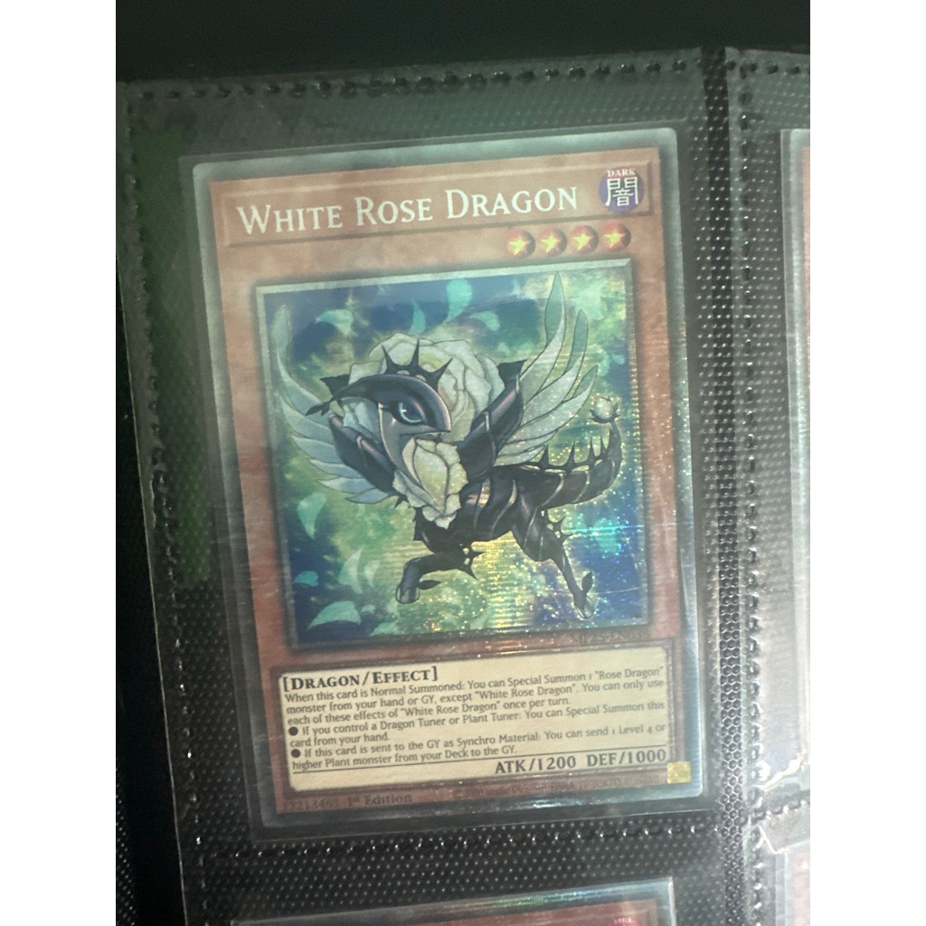 bài yugioh: white rose dragon