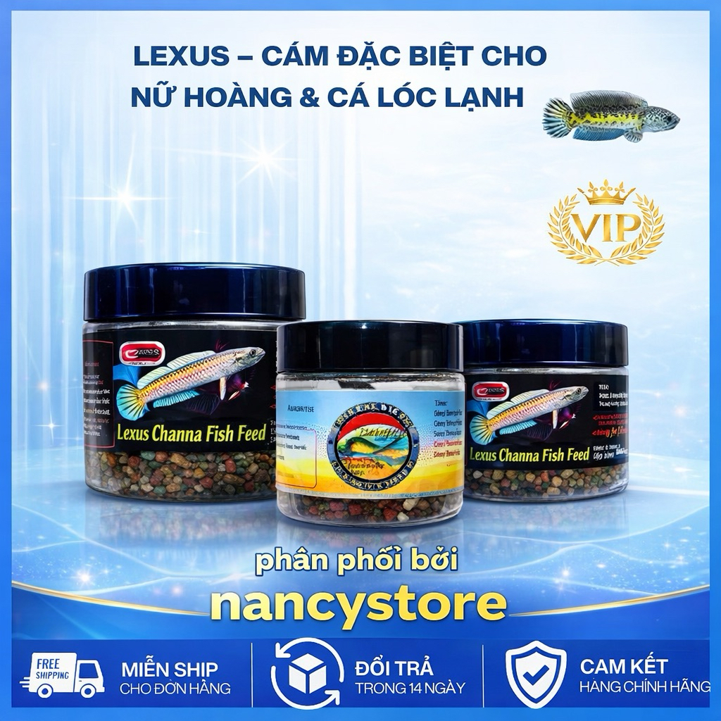 Cám Lexus Auranti Pro+ 25g – Cám Cá Lóc Nữ Hoàng (Channa Auranti) – Hỗ Trợ Vảy Kì & Màu Sắc