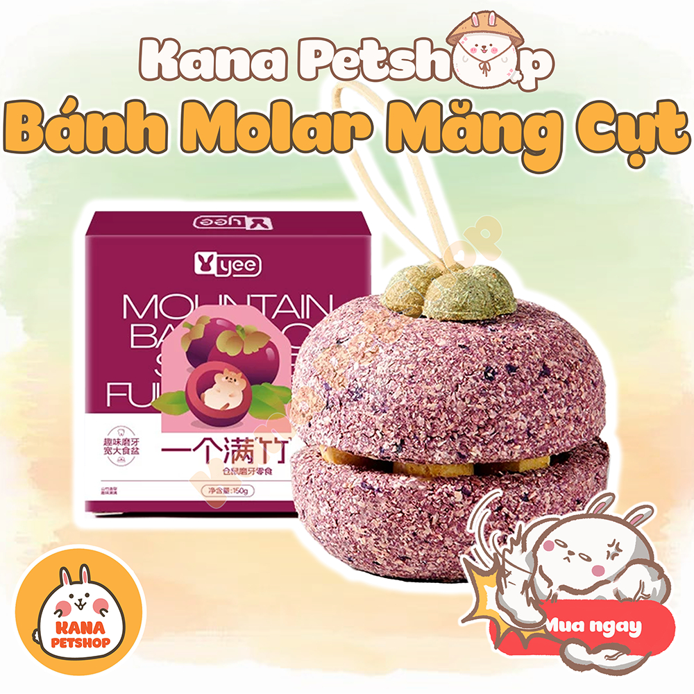 Bánh Mài Răng Hamster Mangosteen Yee 🐹FREESHIP🐹 Quả Măng Cụt MangoSteen Mài Răng cho Hamster