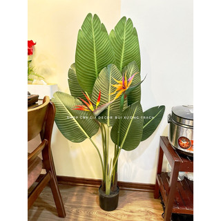 Cây chuối giả - cây giả 1m2 decor - cây chuối dẻ quạt