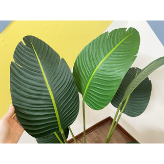 Cây chuối giả - cây giả 1m2 decor - cây chuối dẻ quạt