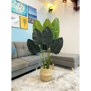 Cây chuối giả - cây giả 1m2 decor - cây chuối dẻ quạt