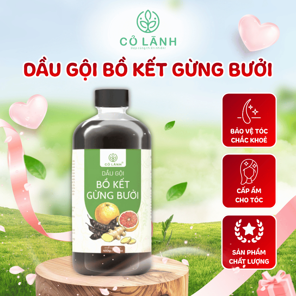Dầu Gội Bồ Kết Gừng Bưởi Cỏ Lành - Bảo Vệ Tóc Chắc Khỏe - Chăm Sóc Tóc Bồng Bềnh Óng Mượt