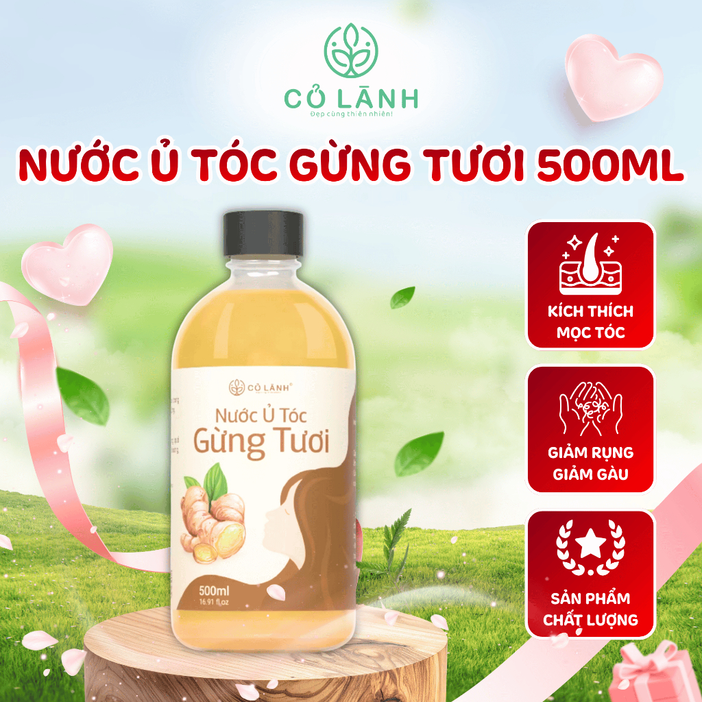Nước Cốt Gừng Tươi Cỏ Lành Giảm Rụng Tóc Kích Mọc Tóc Giảm Gàu Giảm Ngứa Giúp Dày Tóc Mượt Tóc Chắc Khoẻ