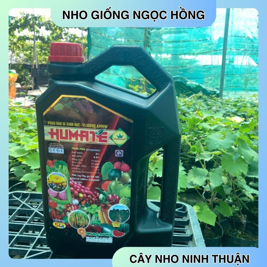 Phân Bón HuMic- HuMaTe Hữu Cơ Phục Hồi Cây Trồng Ra Rễ Mạnh