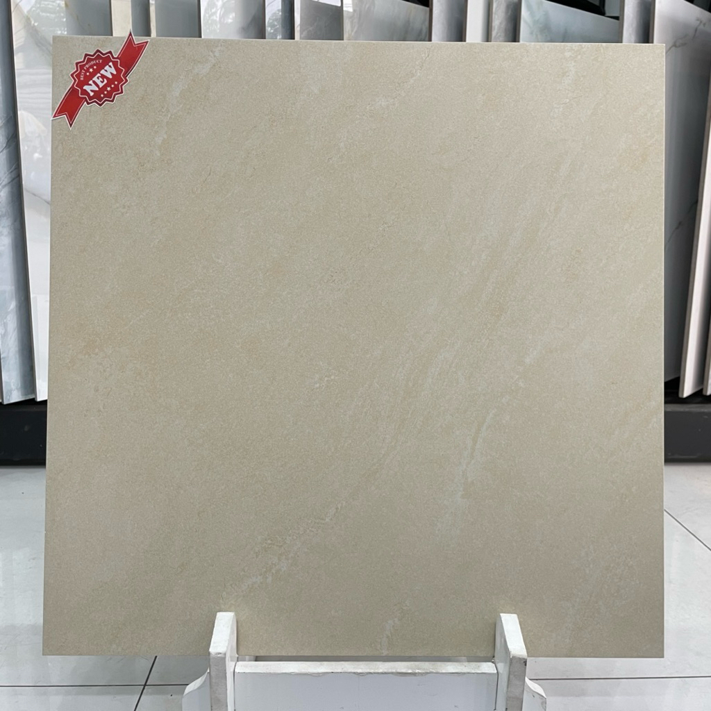 Gạch 60x60 lát nền, toilet mờ chống trơn trượt