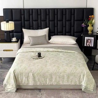 Chăn hè Tencel Lyocell new chất liệu sợi gỗ tự nhiên