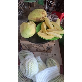 Xoài Tứ Quý Bến Tre Già Rọi – Sống Giòn – 2kg/3kg/5kg