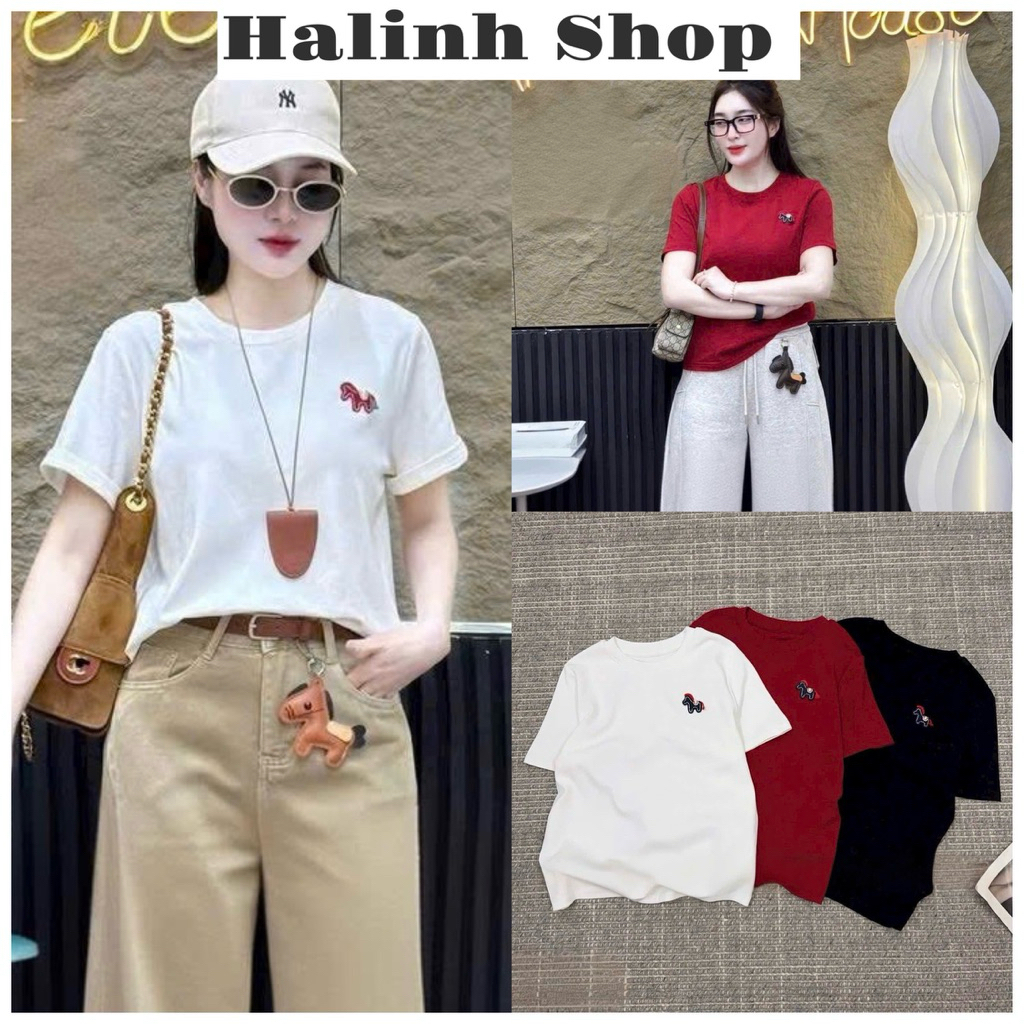 ÁO THUN Nữ Cổ Tròn Thêu Ngựa, chất COTTON Ôhm DÁNG VỪA Tay Lỡ Năng động dễ mặc 3 màu - Halinh Shop